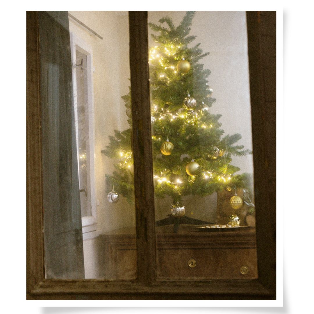 Weihnachtsbaum im Foto-Atelier in Limbach-Oberfrohna, festlich dekorierter Raum für Portraitshootings