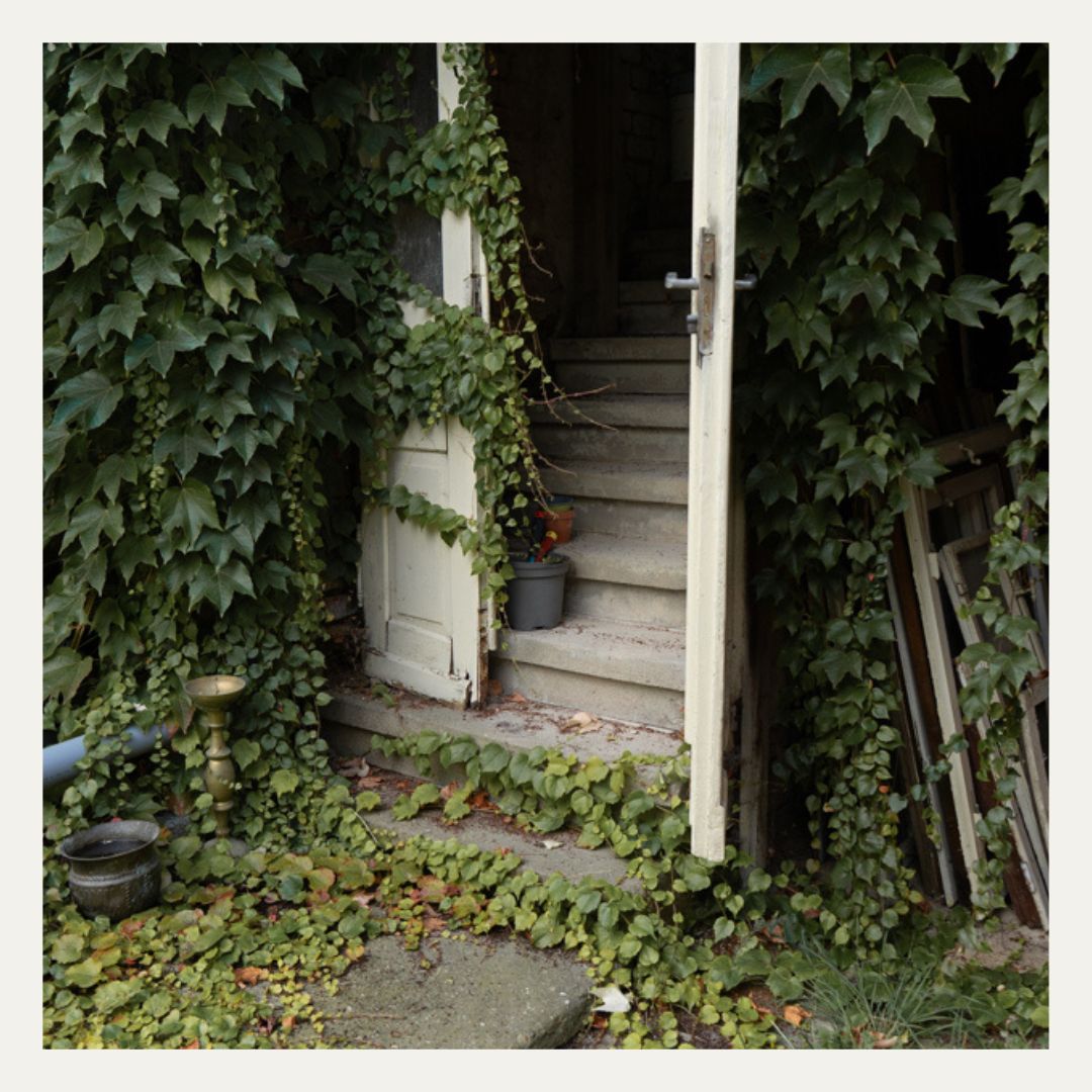 Außenaufnahme von Na.M.photo bei Chemnitz