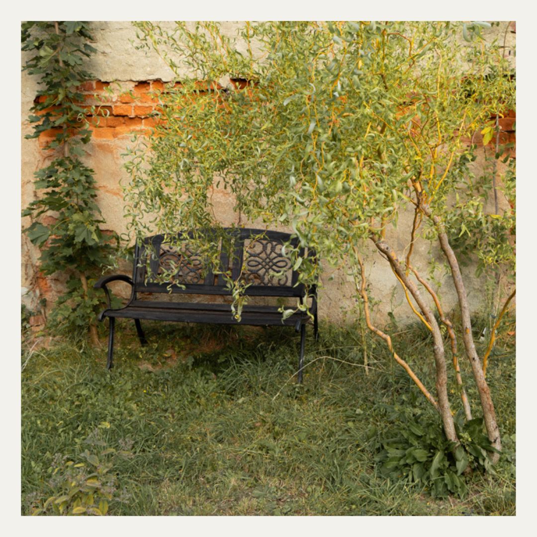 Gartenbank vom Atelier Na.M.photo bei Chemnitz