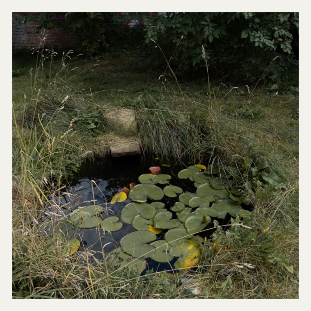 Kleiner Gartenteich am Atelier Na.M.photo in Limbach-Oberfrohna